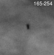 Image of proplyd disk shadow around ori 165-254