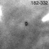 Image of proplyd disk shadow around ori 183-332
